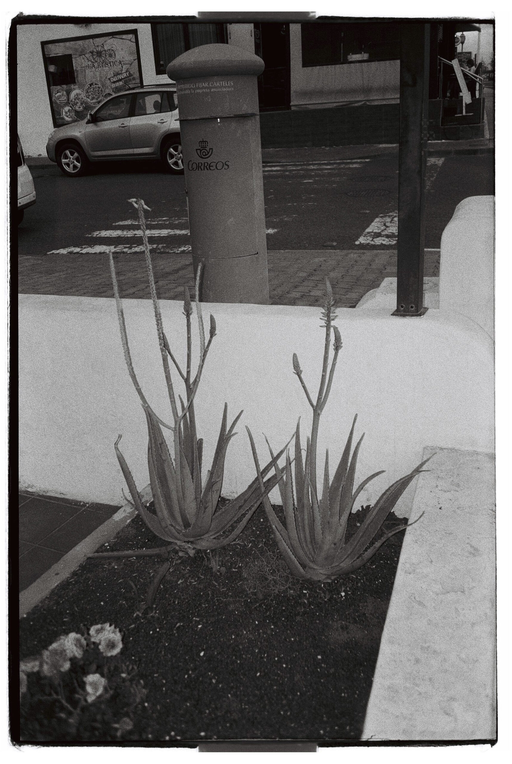 PERSONAL CANARY ISLAND
