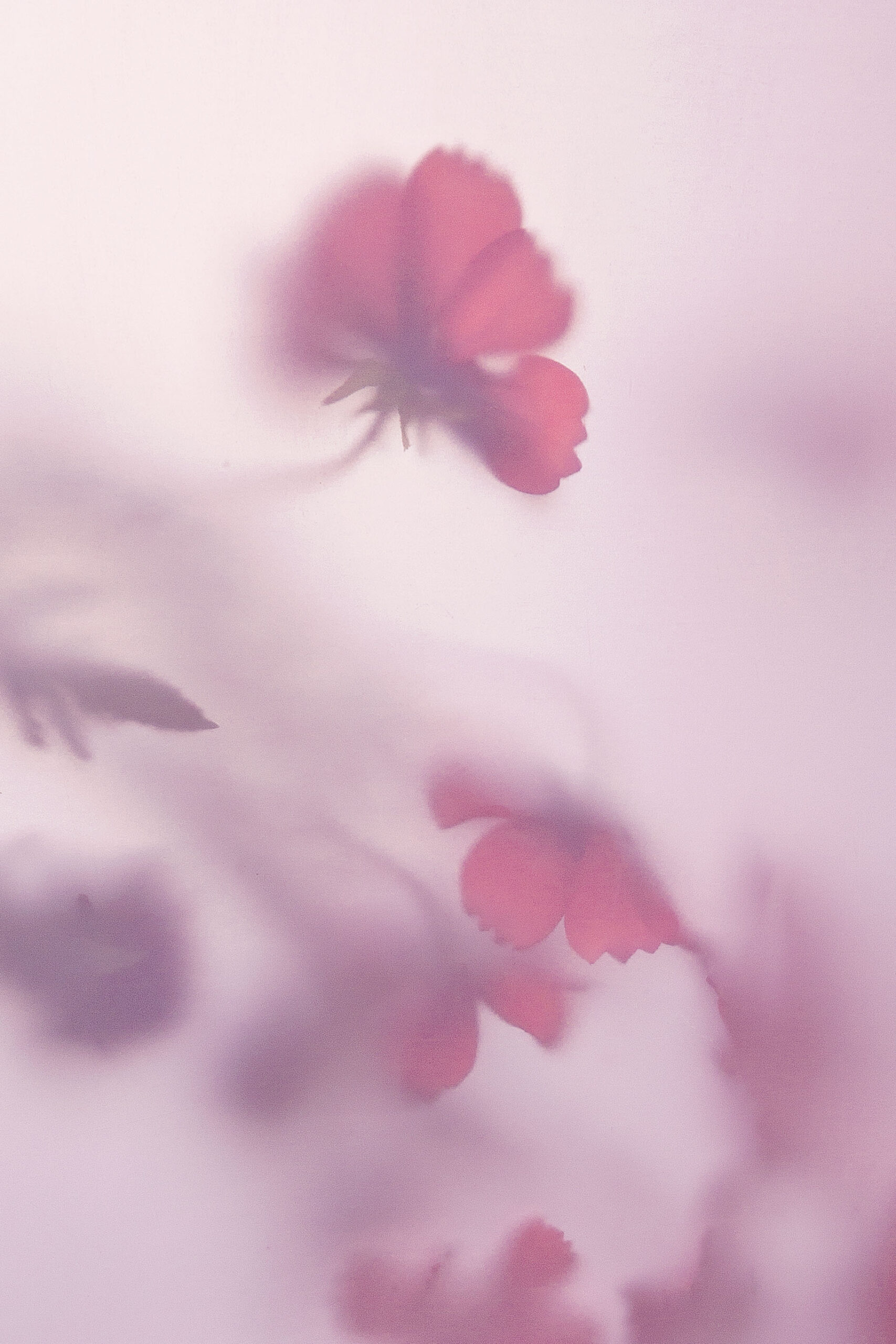 FLOWERS PERSONAL
