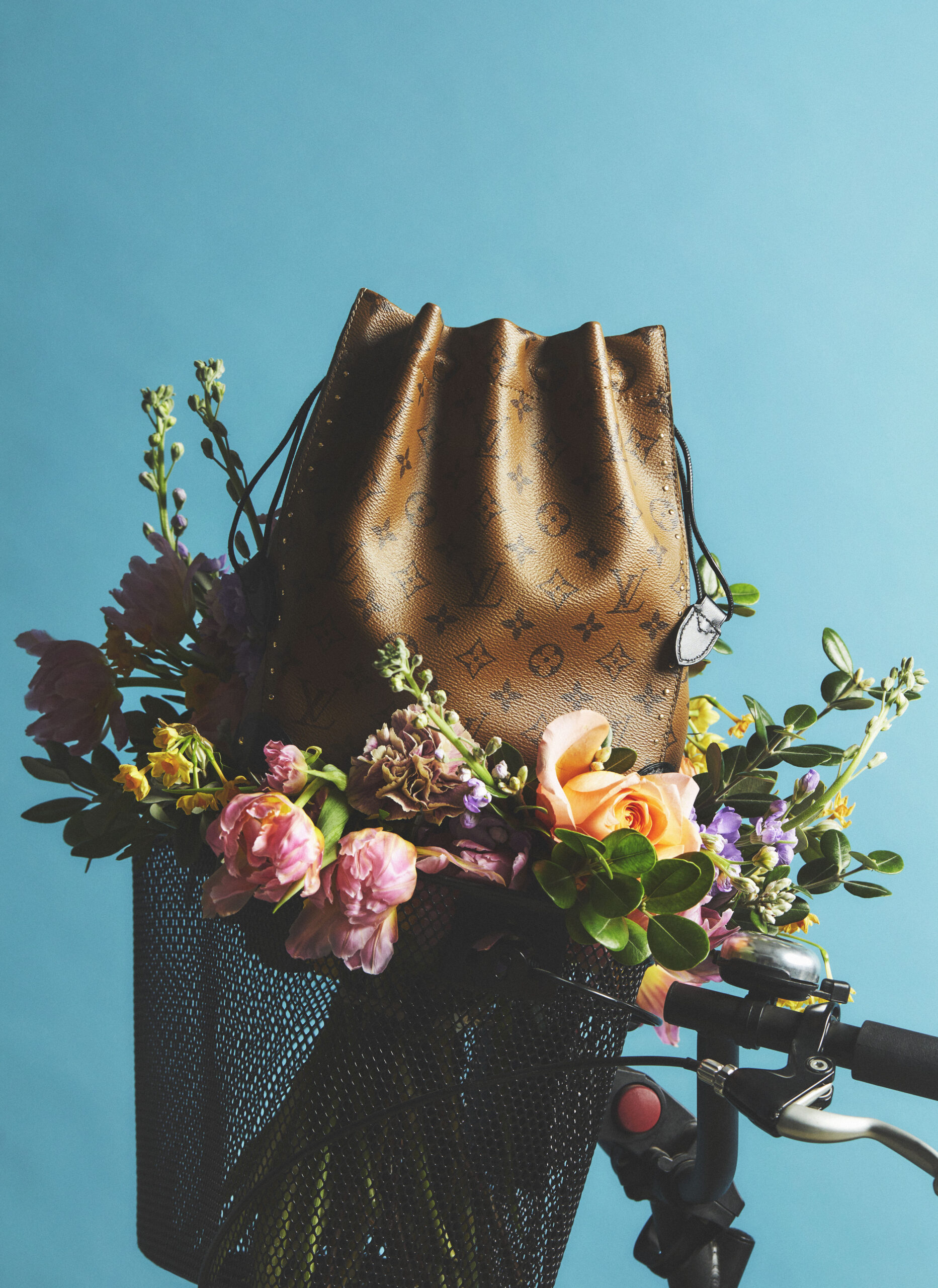TELVA + LOUIS VUITTON