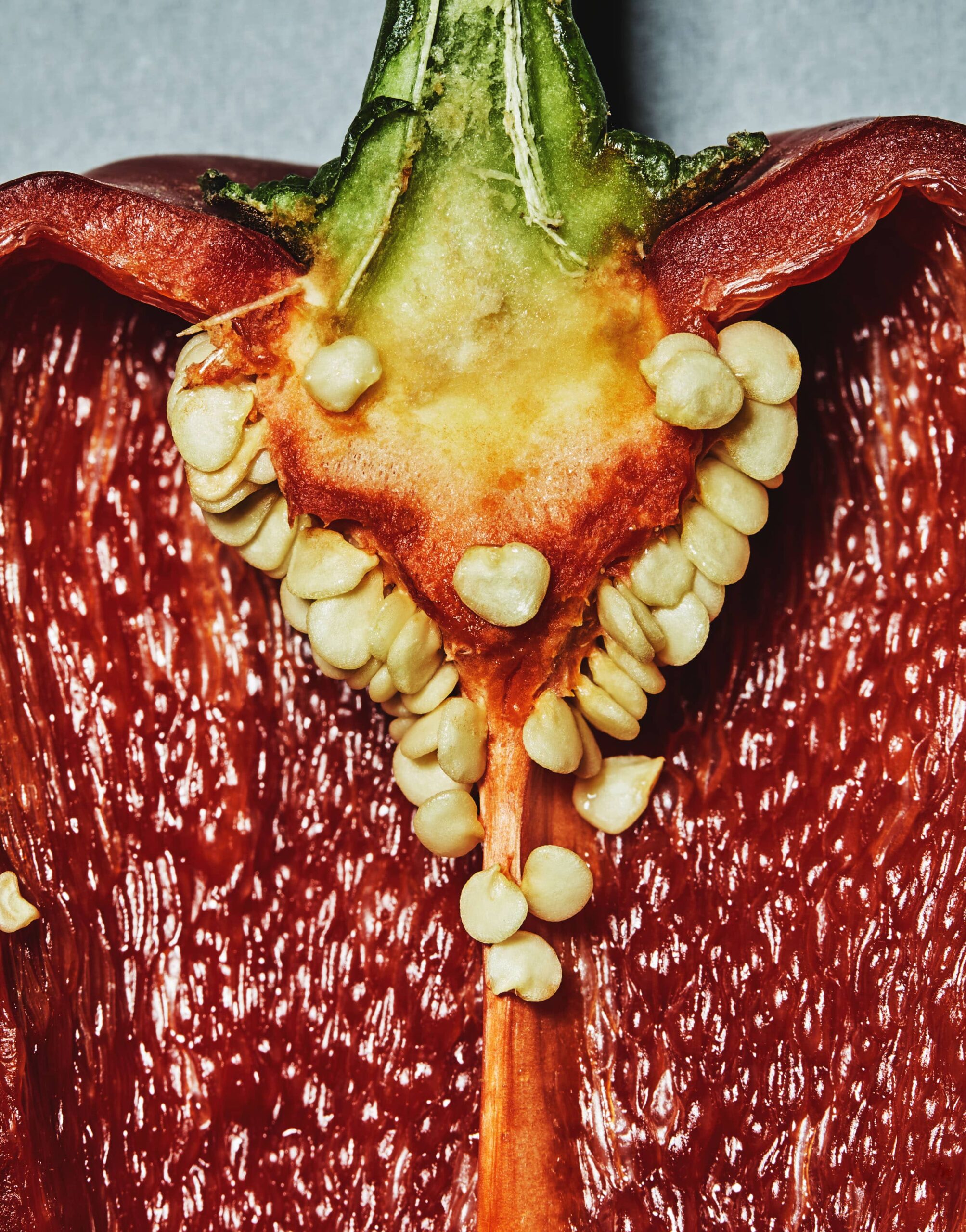 EL PAÍS SEMANAL + PEPPERS